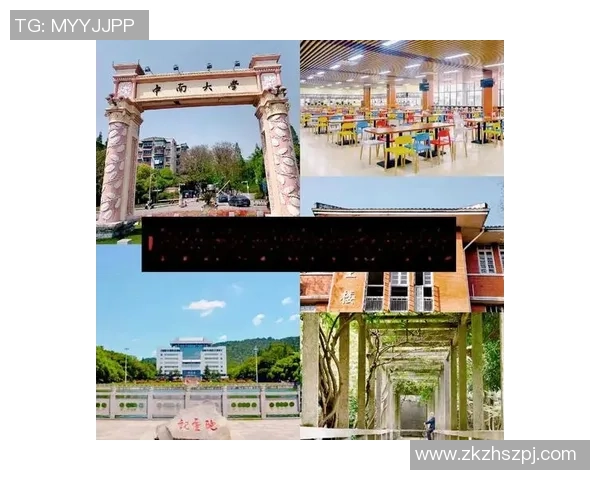 中南大学与中航大全面对比探讨学术实力与校园文化的差异与发展潜力